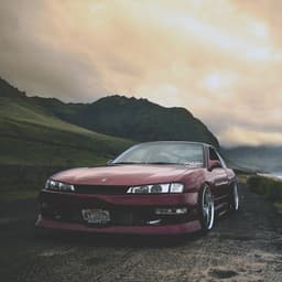 PleX33