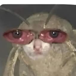 Ferqchareg