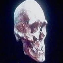 254KG