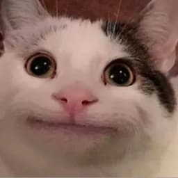 PaPa_1_