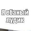 mMaloi