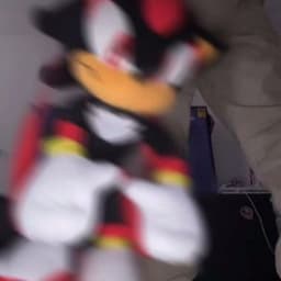 BOOOOOOOOSSS