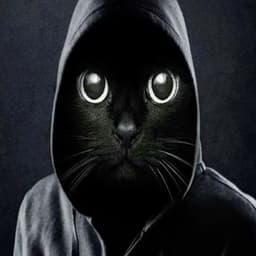 xxmico