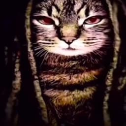 fiercealina