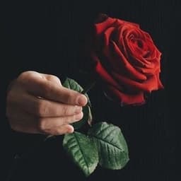 id1_na_hyi