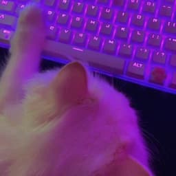 MiniKeksikk