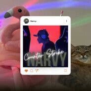 narvy-