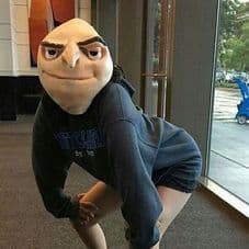 ayrl