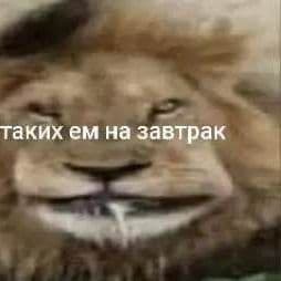 Kyivstroy