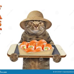 fastsushi