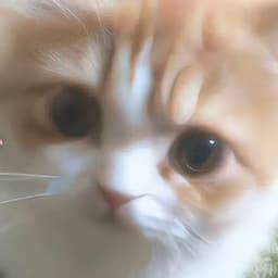 t0Ki0_