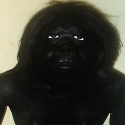 VairoTembo