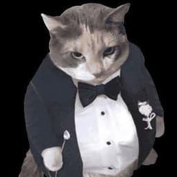 MrKotB