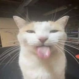 AutLaaw