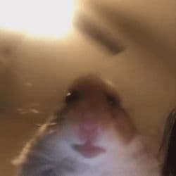 treeburd