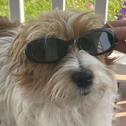 pikachiiiiu