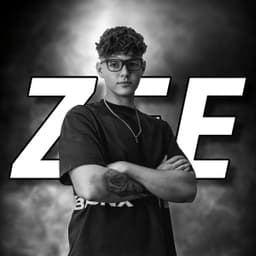 cs2_ZEE_