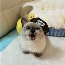 -aS-