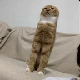 whenheWHENHE