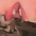 xekri