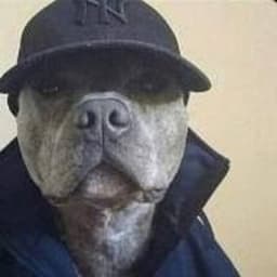 bizcochitu
