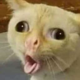 locozalazar
