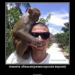 saents_