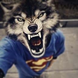 sqscvc