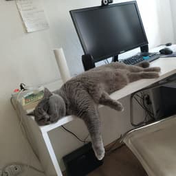 No_name164