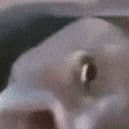 _coop_