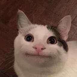 fo4msy