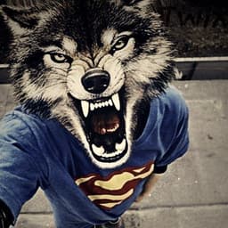 thrillxd