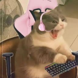 NyaaaNyaaa