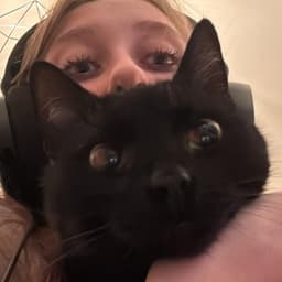 Romusos