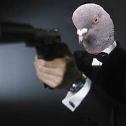SEFUTAUAA