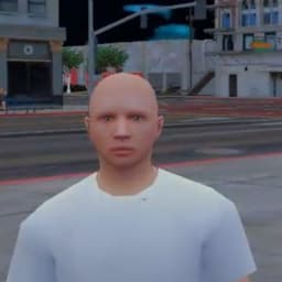 Ariraisk9