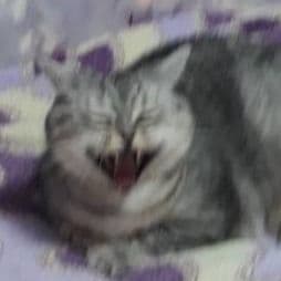 kobyakovZzZ