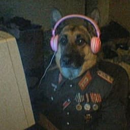 Y4INIK