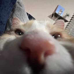 azisWHS