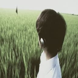 olmufik