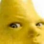 MisterGnida