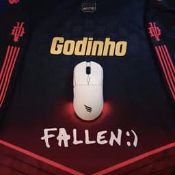 FalleNGodnho