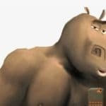 RaminVix