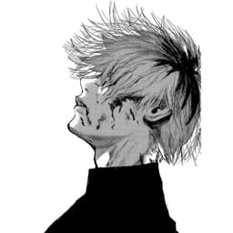 Hayvo