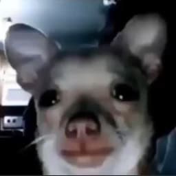 Glikber