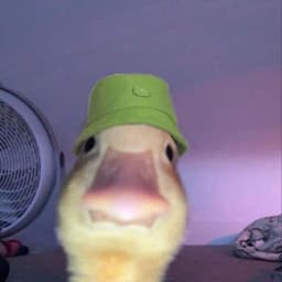 Lephy_