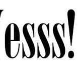 yesssa11