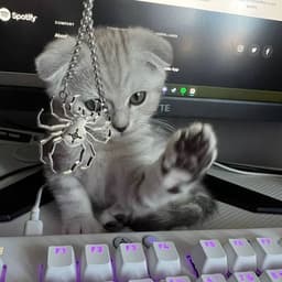 WH1TEN4EL_X