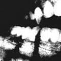 SkR-Iwnl3