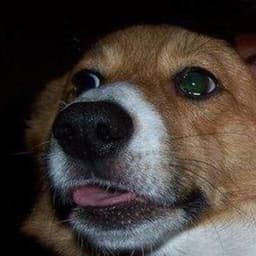 Pepeien